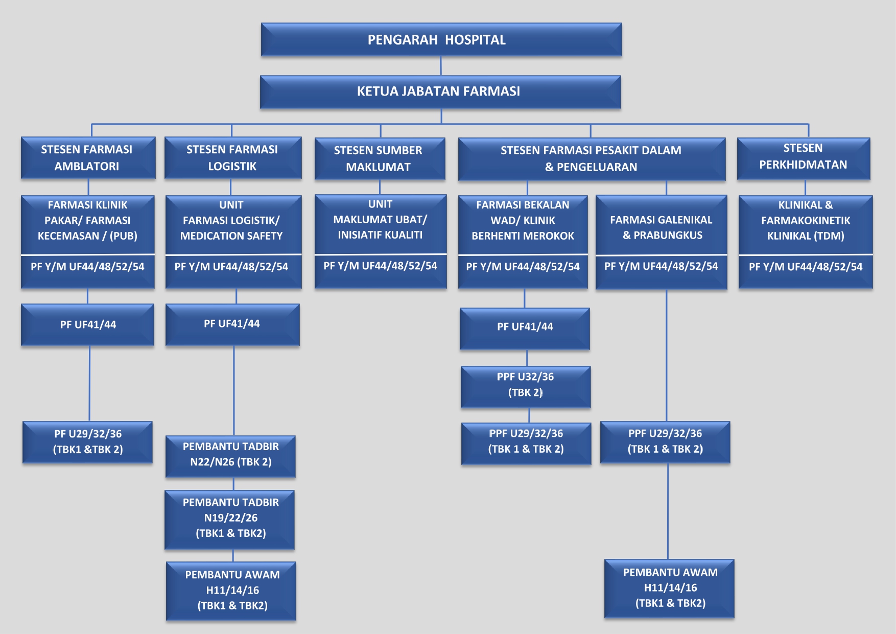 CARTA ORGANISASI Image