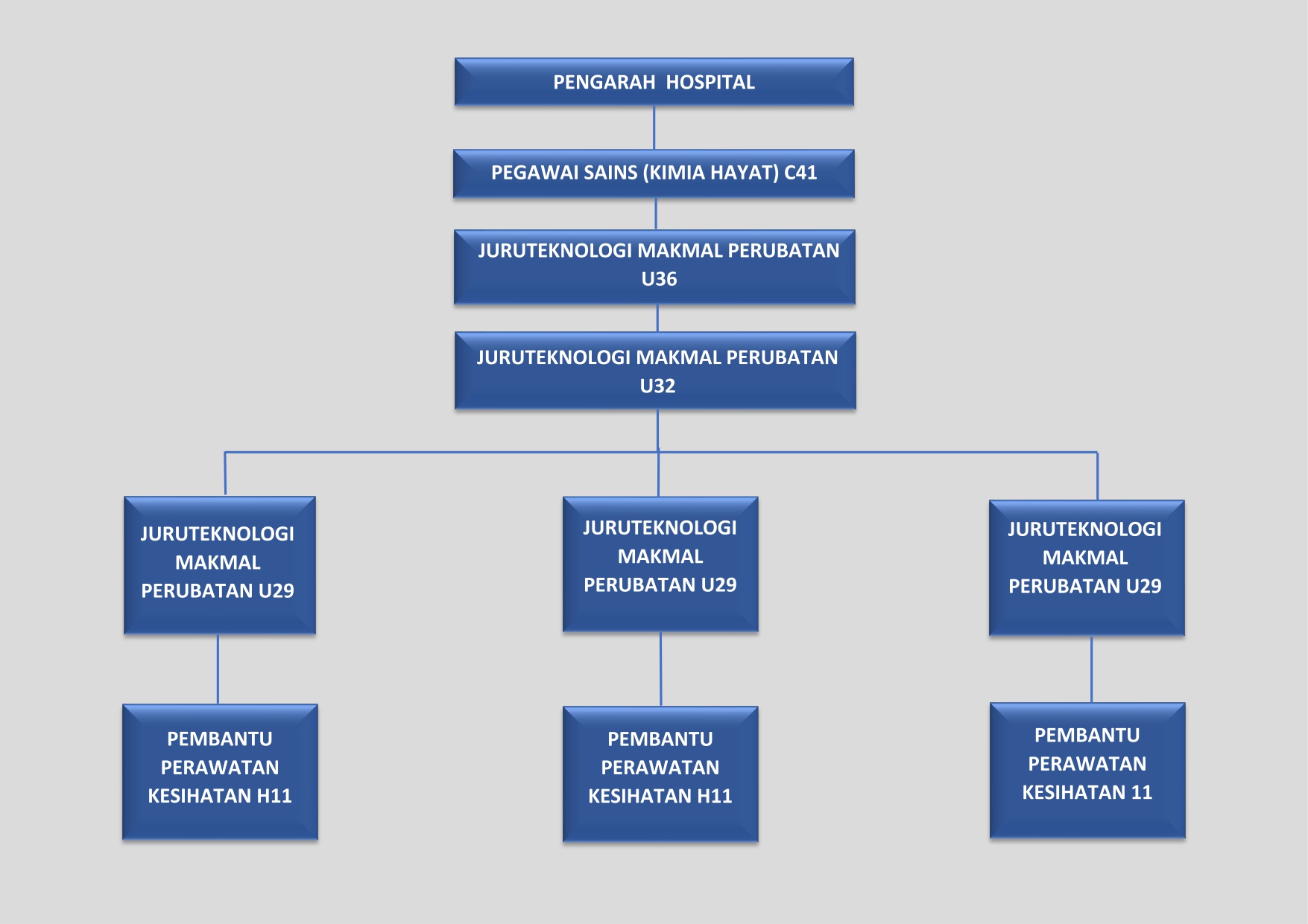 CARTA ORGANISASI Image